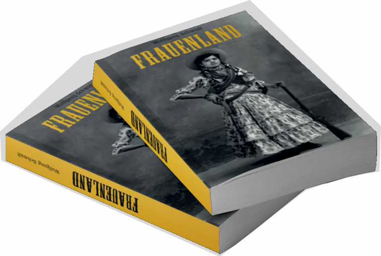 vp schmidt wolfgang autor bs buchstapel 1 768x516